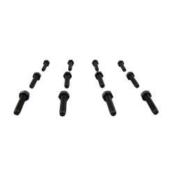 M3 x 10mm Bolt - Black Nylon 6/6 - (set of 12)